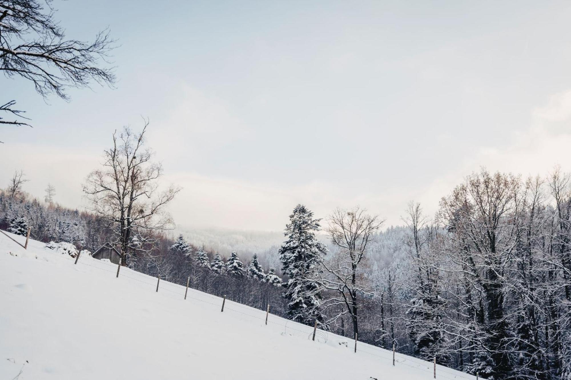 Waldjuwel Mostviertel Allhartsberg Zewnętrze zdjęcie